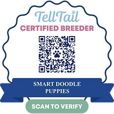 certified_badge_certifiedBadge.PNG